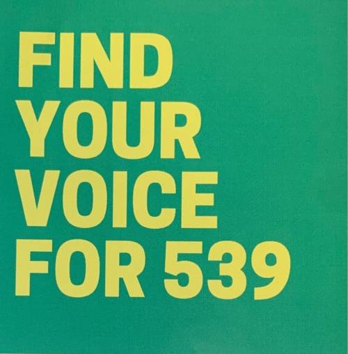 Find your voice for 539